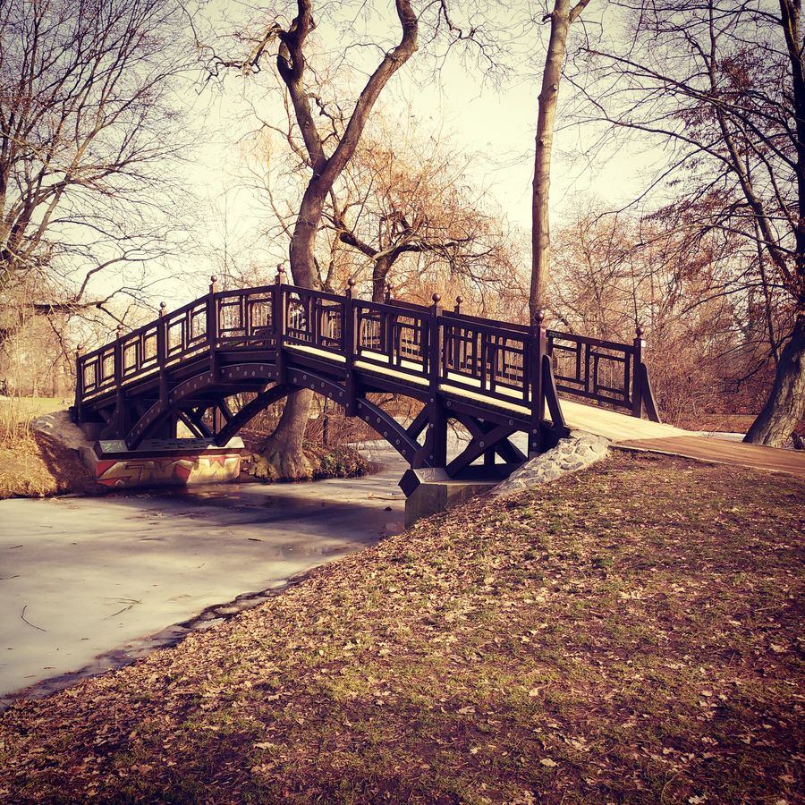 zur Vergrößerungsansicht des Bildes: Romantisch anmutende Holzbrücke im Clara-Zetkin-Park Leipzig. Der Boden ist mit Laub bedeckt.