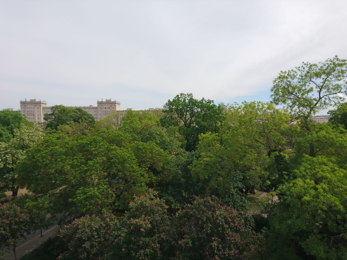 zur Vergrößerungsansicht des Bildes: Laubbäume mit dichen Kronen im satten Grün vor dem Wilhelm-Leuschner-Platz vermitteln ein Frühlingsgefühl.