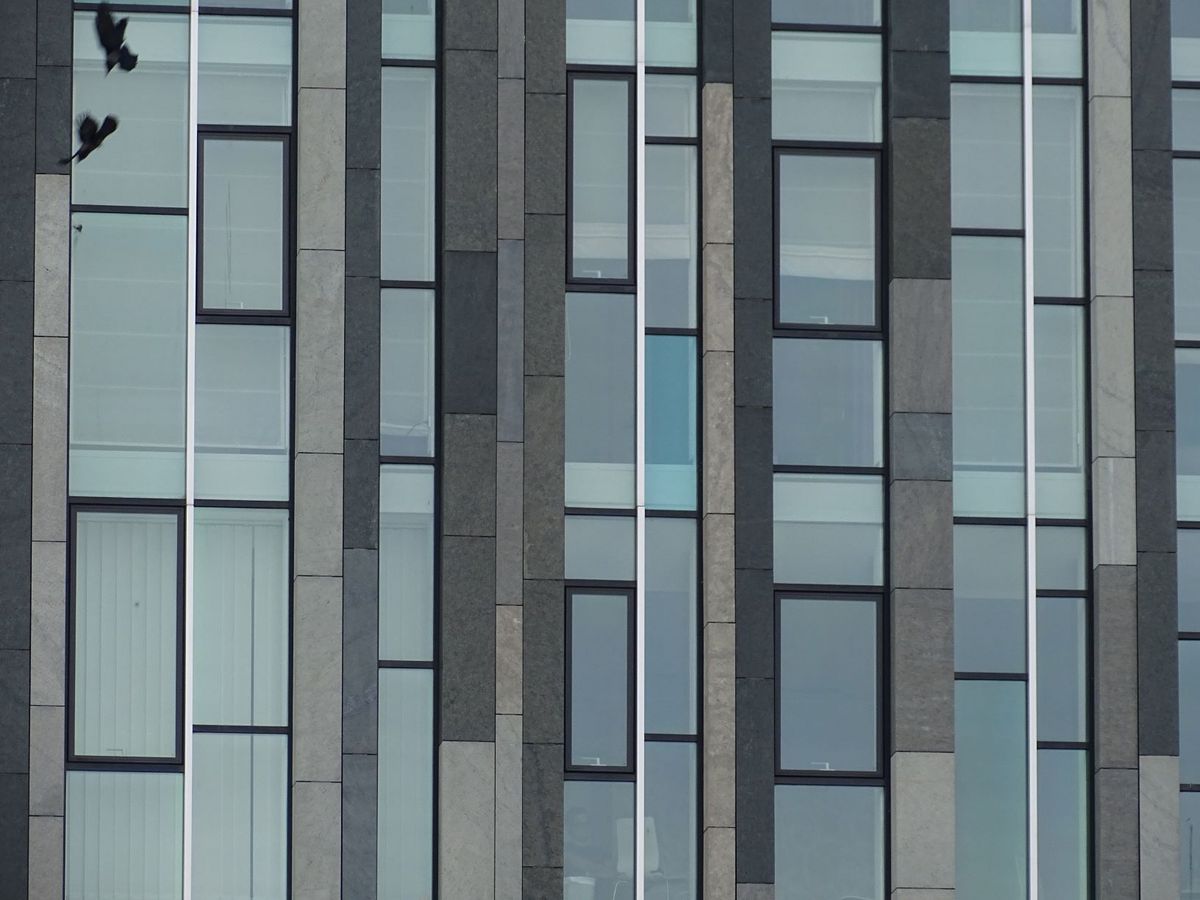 zur Vergrößerungsansicht des Bildes: Ausschnitt der Fensterfront des Neuen Augusteum der Universität Leipzig